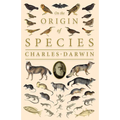 On the Origin of Species;Or; The Preservation of the Favoured Races in the Struggle for Life - Paperback