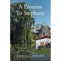 A Promise To Stephany - Paperback