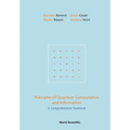 Principles of Quantum Computation and Information: A Comprehensive Textbook - Paperback