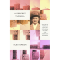 A Perfect Turmoil: Walter E. Fernald and the Struggle to Care for America's Disabled - Paperback