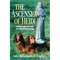 The Ascension of Heidi: A Longhaired Dachshund - Paperback