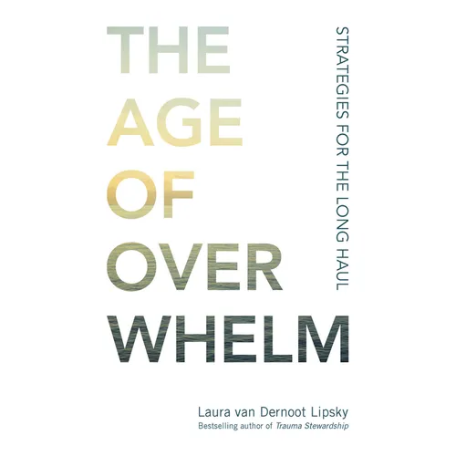 The Age of Overwhelm: Strategies for the Long Haul - Paperback