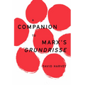 A Companion to Marx's Grundrisse - Paperback