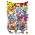 Dragon Ball Super, Vol. 24 - Paperback