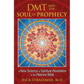 DMT and the Soul of Prophecy: A New Science of Spiritual Revelation in the Hebrew Bible - Paperback