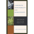 Corporate Responsibility and Human Rights: Global Trends and Issues Concerning Indigenous Peoples - Paperback