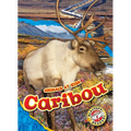 Caribou - Library Binding