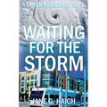 Waiting for the Storm: A Green New Deal Novel - Paperback