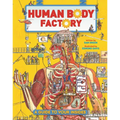 The Human Body Factory: A Guide to Your Insides - Paperback