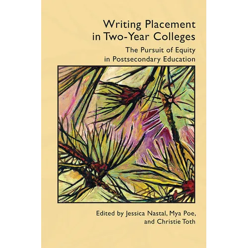 Writing Placement in Two-Year Colleges: The Pursuit of Equality in Postsecondary Education - Paperback