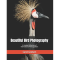 Beautiful Bird Photography: A Curated Collection of International Photographers - Paperback