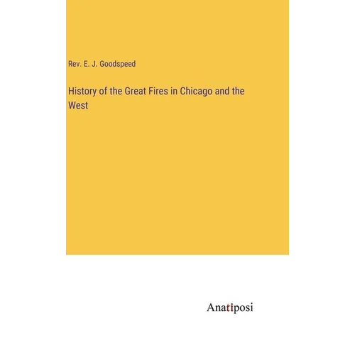 History of the Great Fires in Chicago and the West - Hardcover