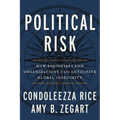 Political Risk: How Businesses and Organizations Can Anticipate Global Insecurity - Paperback