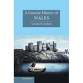 A Concise History of Wales - Hardcover