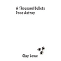 A thousand bullets gone astray - Paperback