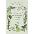 Fieldbook Of American Trees And Shrubs - Paperback