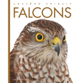 Falcons - Paperback