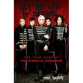 Not the Life It Seems: The True Lives of My Chemical Romance - Paperback