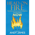 Head on Fire: The Path to Personal and Collective Transformation NOW - Paperback