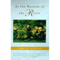 At the Bottom of the River - Paperback