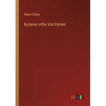 Mysteries of the Vital Element - Paperback