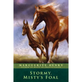 Stormy, Misty's Foal - Paperback