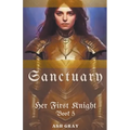 Sanctuary - Paperback