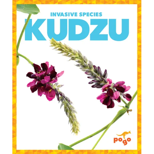 Kudzu - Paperback
