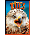 Kites - Paperback