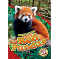 Red Pandas - Library Binding
