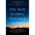 The New Global Possible: Rebuilding Optimism in the Age of Climate Crisis - Hardcover
