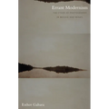 Errant Modernism: The Ethos of Photography in Mexico and Brazil - Paperback