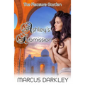 Ashley's Submission - Paperback