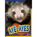 Aye-Ayes - Library Binding
