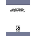 New York in Slices: by An Experienced Carver, Being the original Slices Published in the N. Y. Tribune. Rev., Enl., and Cor. by the Author ... - Paperback