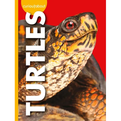 Curious about Turtles - Library Binding