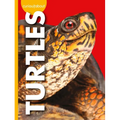 Curious about Turtles - Library Binding