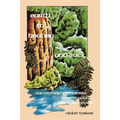 Earth to Heaven and Back: Violet Tasker - Paperback