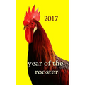 Year of the Rooster -: The rooster is the tenth in the 12-year cycle of Chinese zodiac. - Paperback