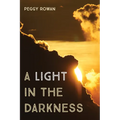 A Light in the Darkness - Hardcover
