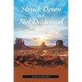 Struck Down but Not Destroyed - Paperback