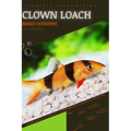 Clown Loach: From Novice to Expert. Comprehensive Aquarium Fish Guide - Paperback