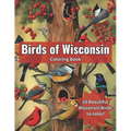 Birds of Wisconsin Coloring Book: Color the Birds of Wisconsin While Learning About Them - Paperback