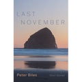 Last November - Paperback