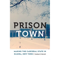 Prison Town: Making the Carceral State in Elmira, New York - Paperback