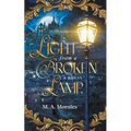 Light from a Broken Lamp - Paperback