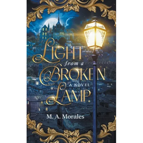 Light from a Broken Lamp - Paperback