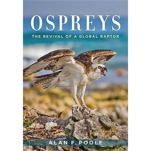 Ospreys: The Revival of a Global Raptor - Hardcover