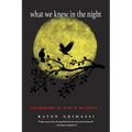 What We Knew in the Night: Reawakening the Heart of Witchcraft - Paperback