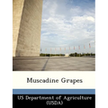 Muscadine Grapes - Paperback